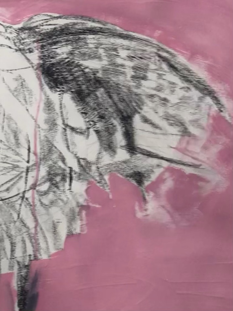 2B38AB7E-B93D-43AB-84E6-CA36C05C153F_1_105_c