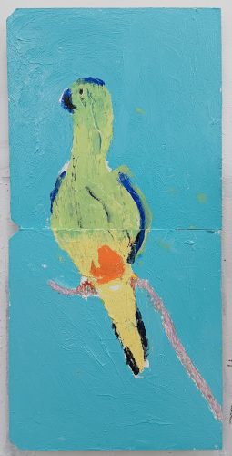 Orange-bellied Parrot