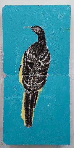 Regent Honeyeater